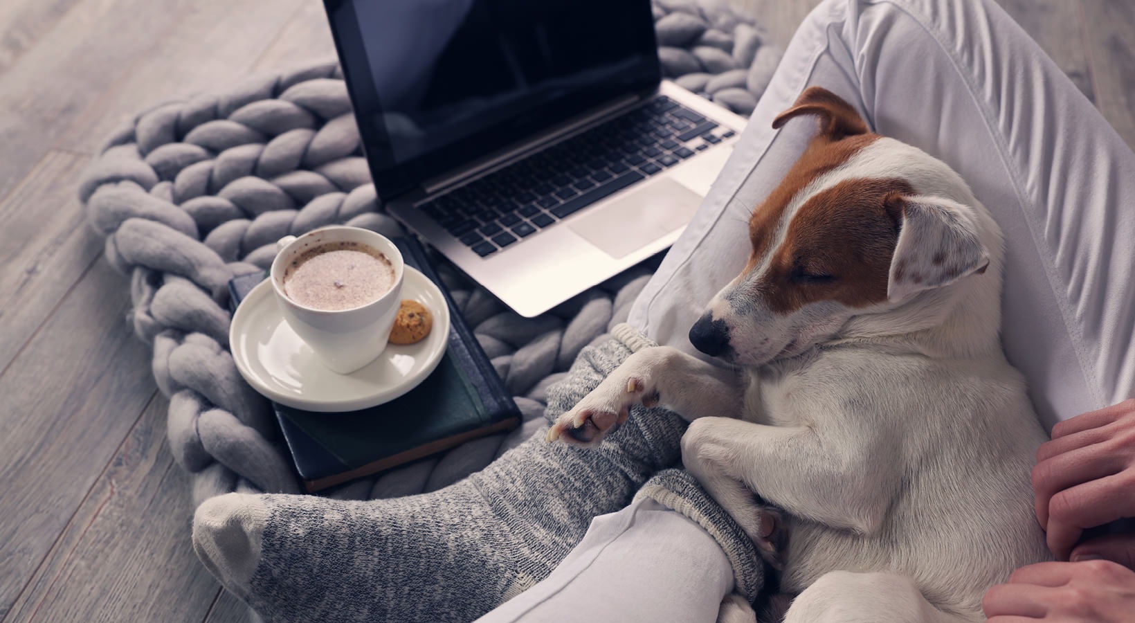 Beautiful rentals in Pittsboro, NC Knoll at Briar Chapel